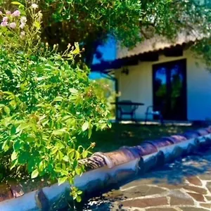 Appartement Sarda Jamelia, Elmas